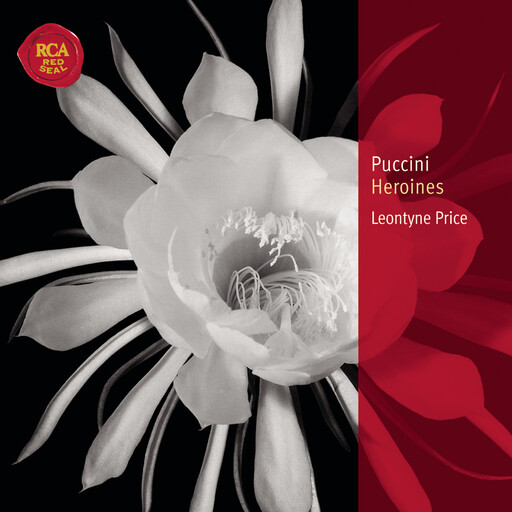 小🐤🐤戳进🍑无遮挡cos
